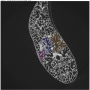 acinus_overlay.png