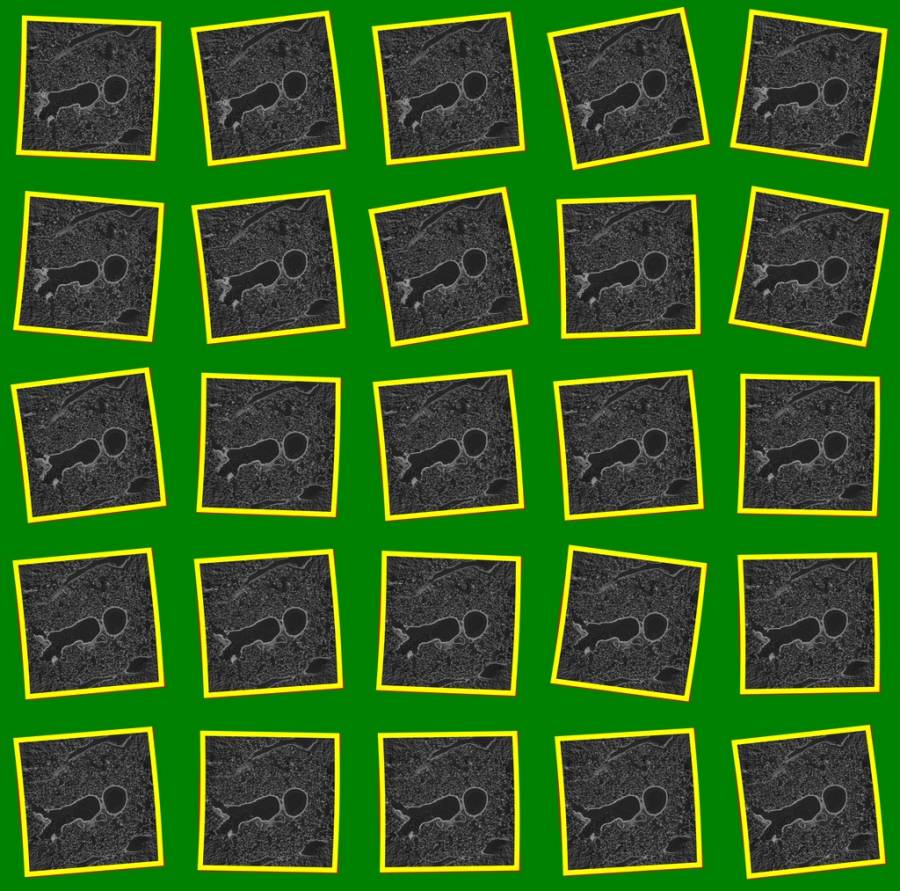 polaroid-green.jpg