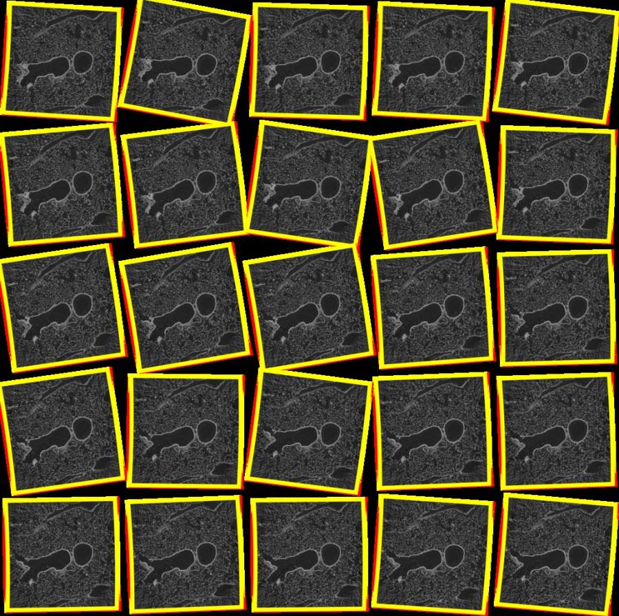 polaroid.jpg