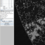 stepanizer.scale.png