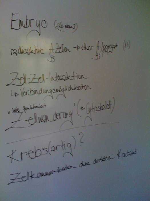 brainstorm.tut07.jpg